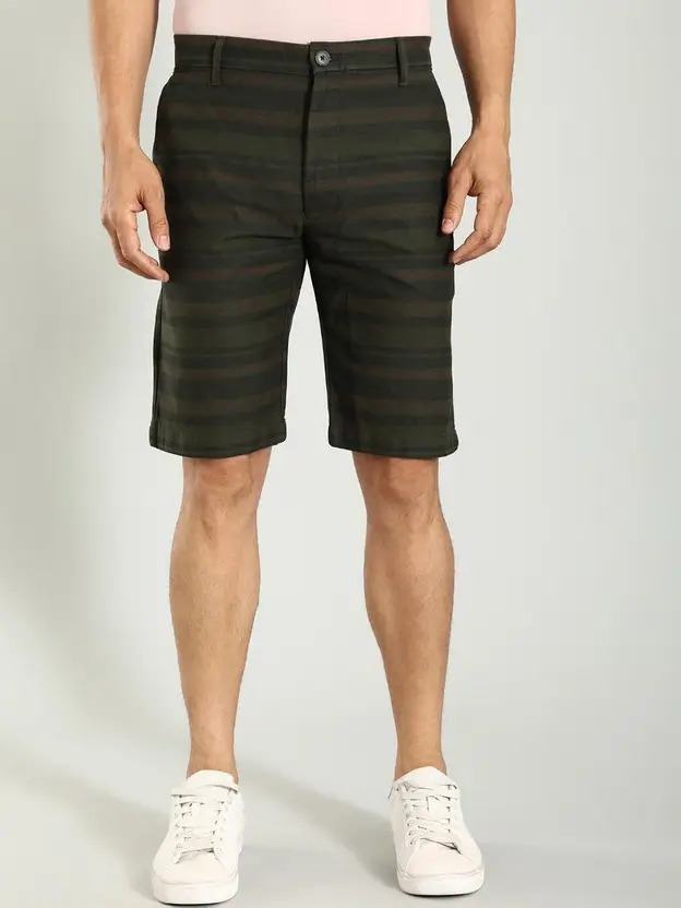 Indian Terrain Men's Slim Fit Striped Green Shorts